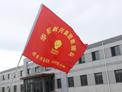 華陽新興科技集團有限公司.jpg 華陽新興科技集團有限公司.jpg